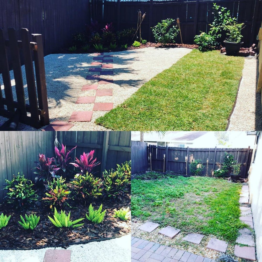 Backyard garden with lawn