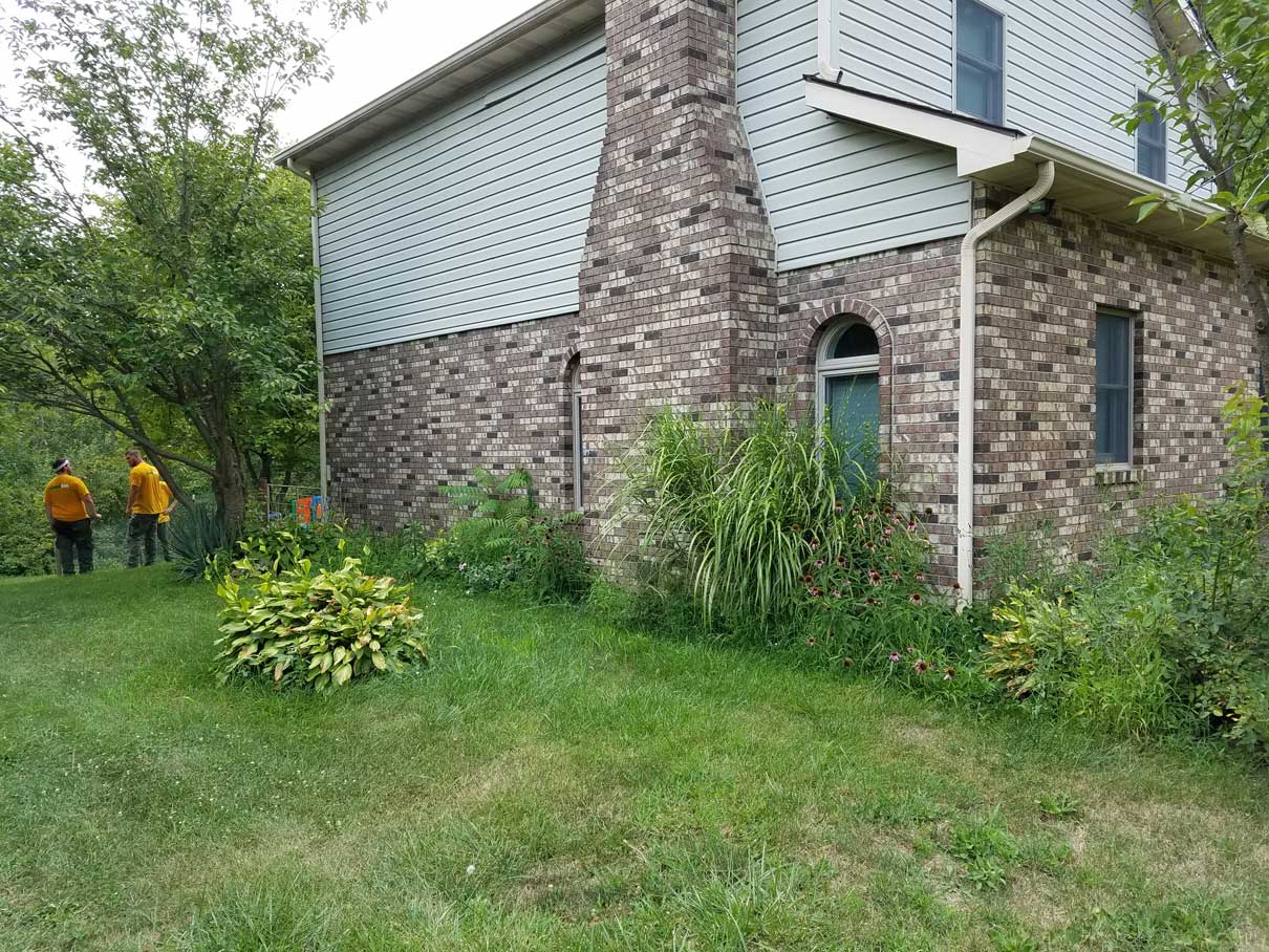 Overgrown plants surrounding house