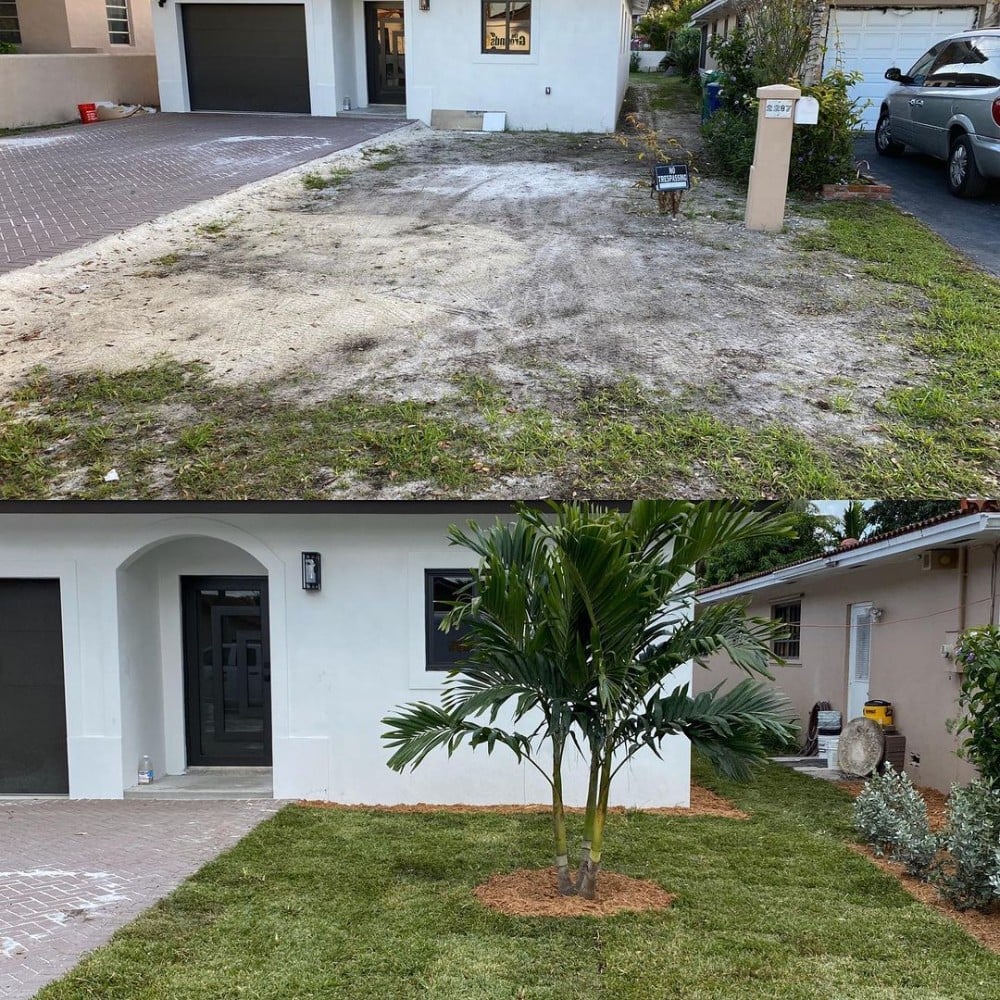 Before and After landscaping the Front yard