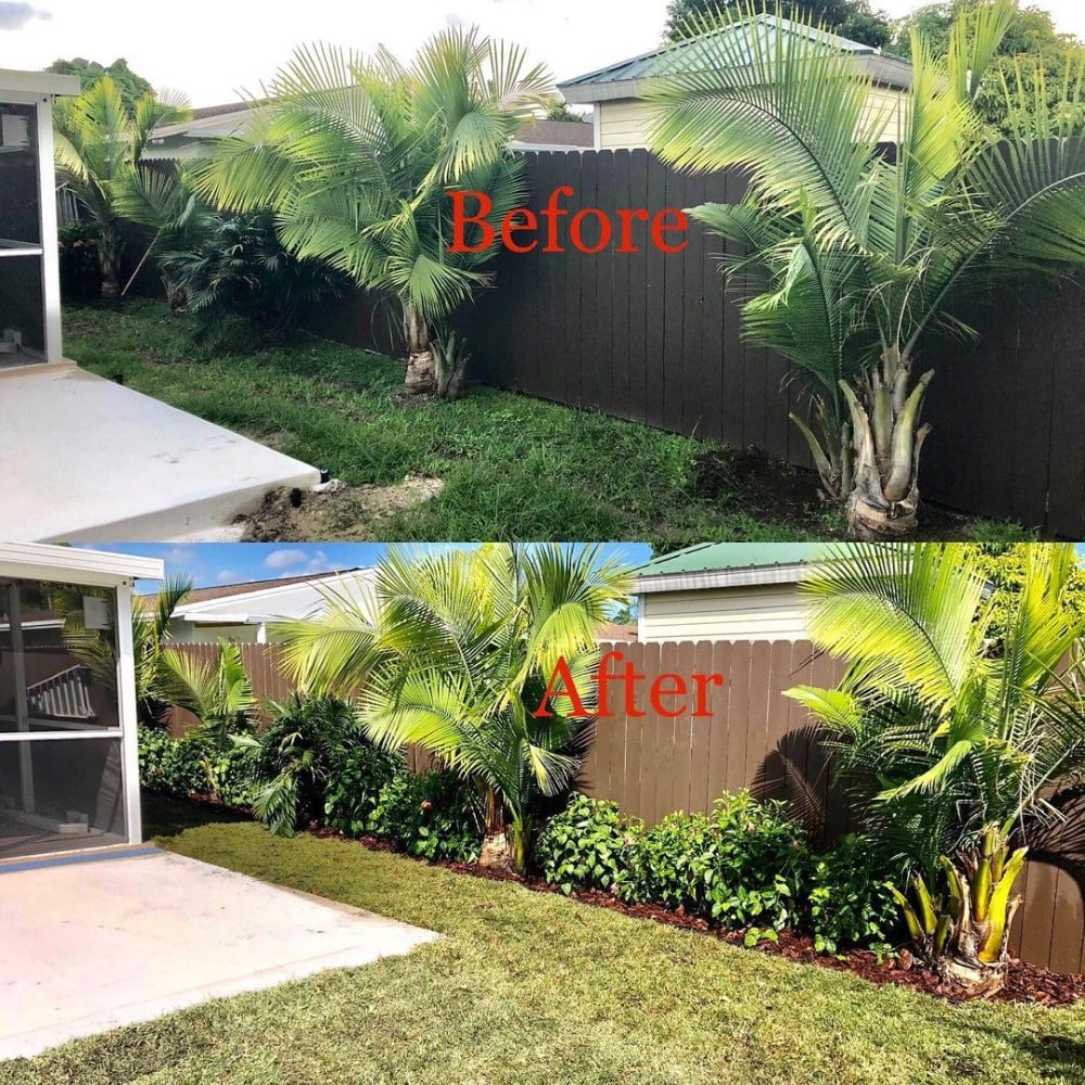 Before and after mowing the lawn and washing fence