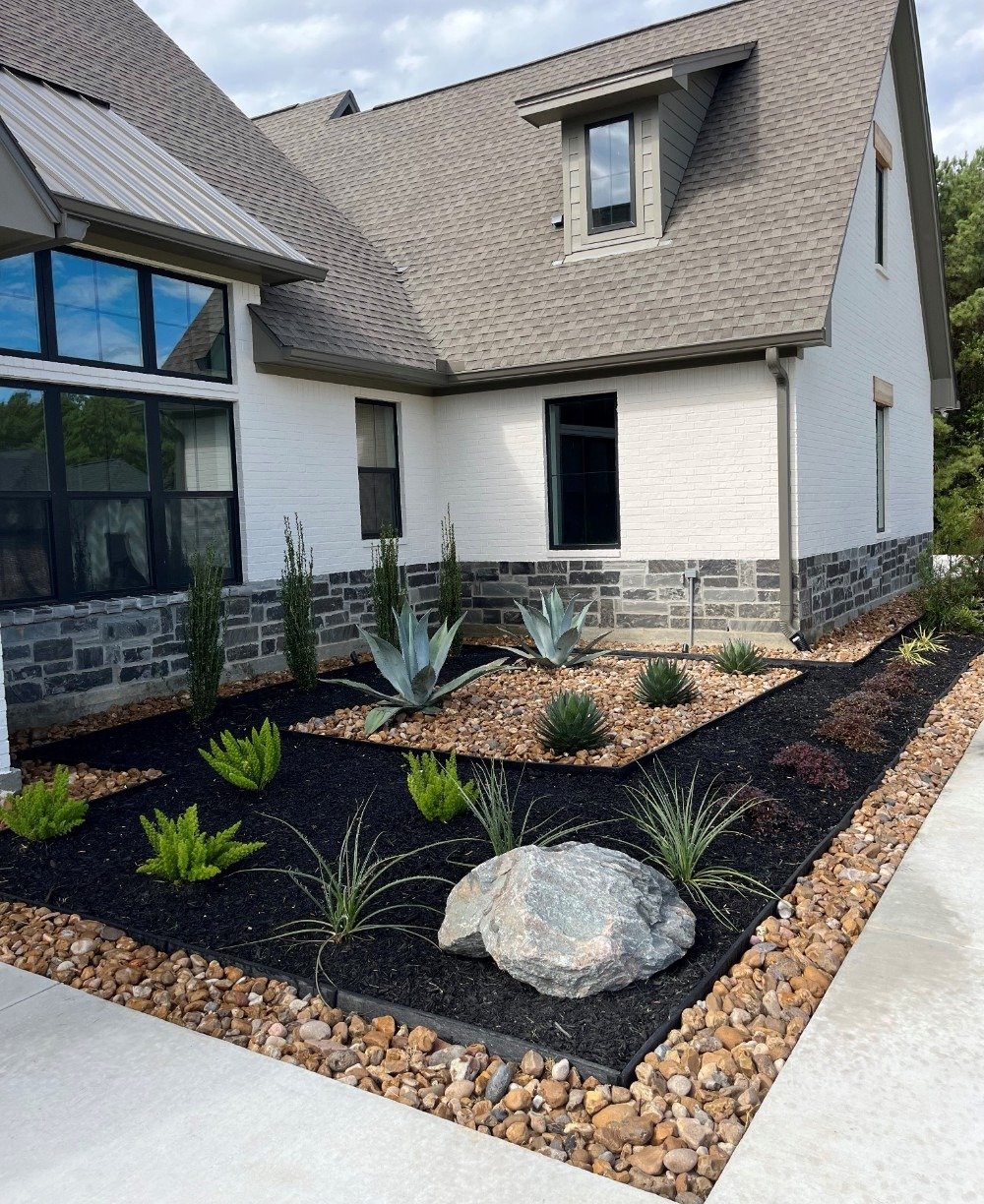 Agave landscaping