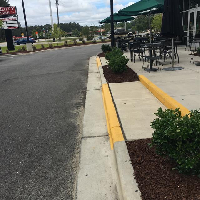 Bushy plants after transformation.