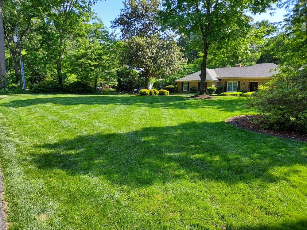 Sod Install