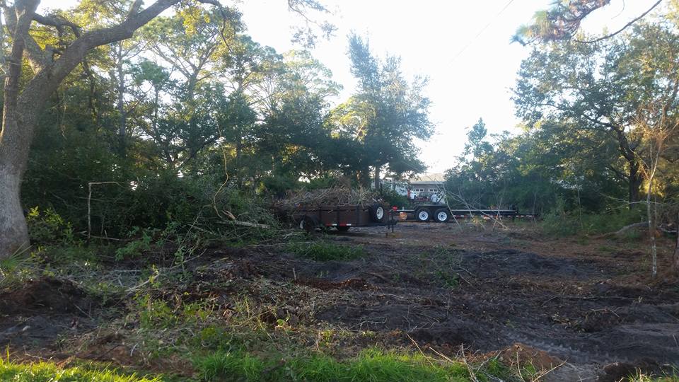 Dirt lot with various trees