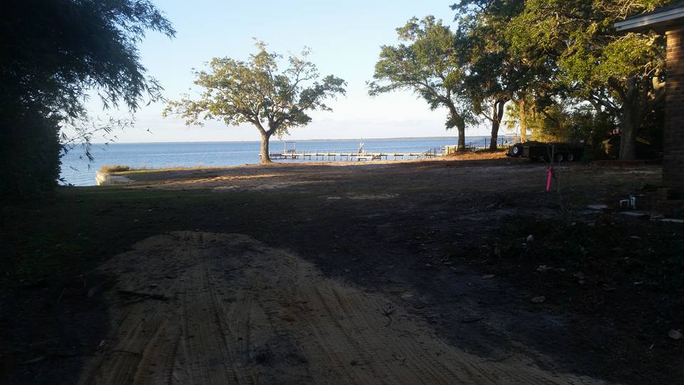 Dirt lot with various trees