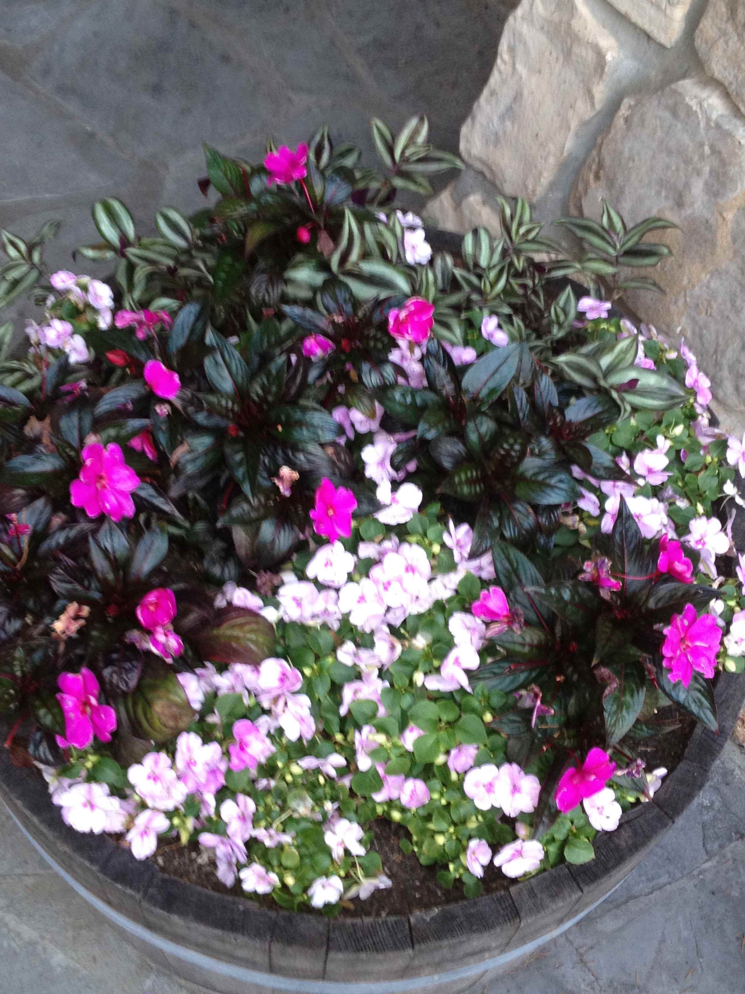 Flower in barrel planter