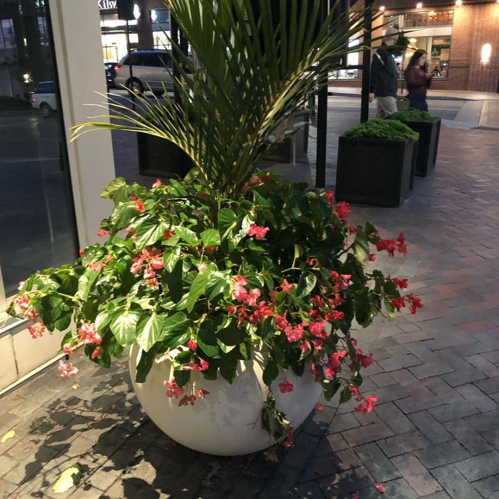 Flower pot