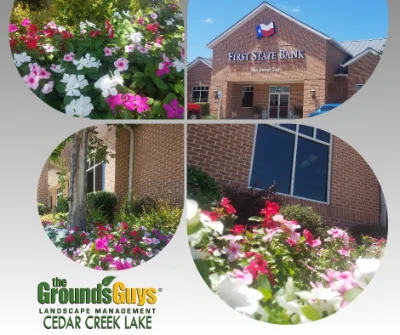 Flowers in front of First State Bank with the Grounds Guys Logo