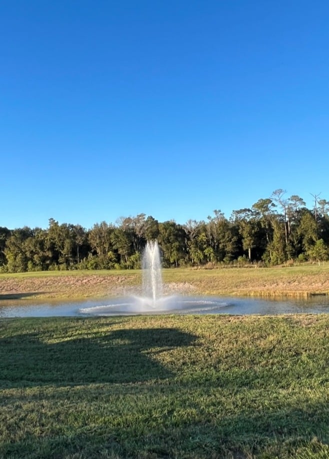 Fountain