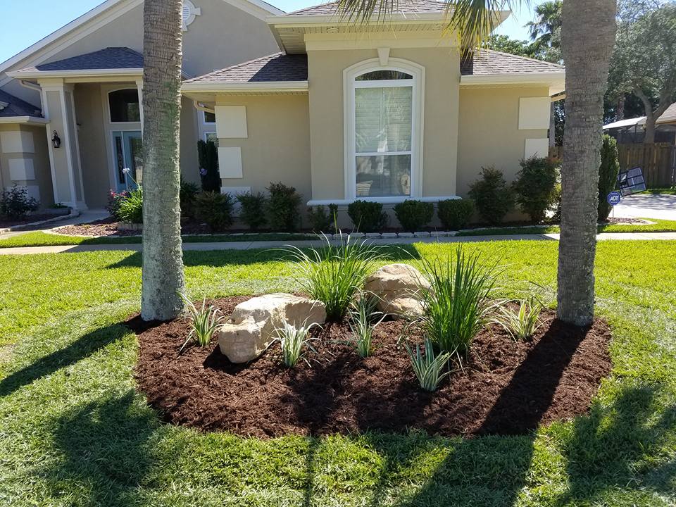 Fresh planter and plamtrees in front of house