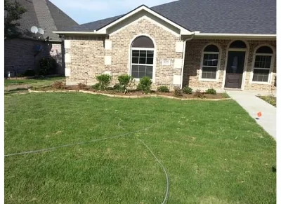 Freshly cut green lawn with shrubs and mulch in front of house