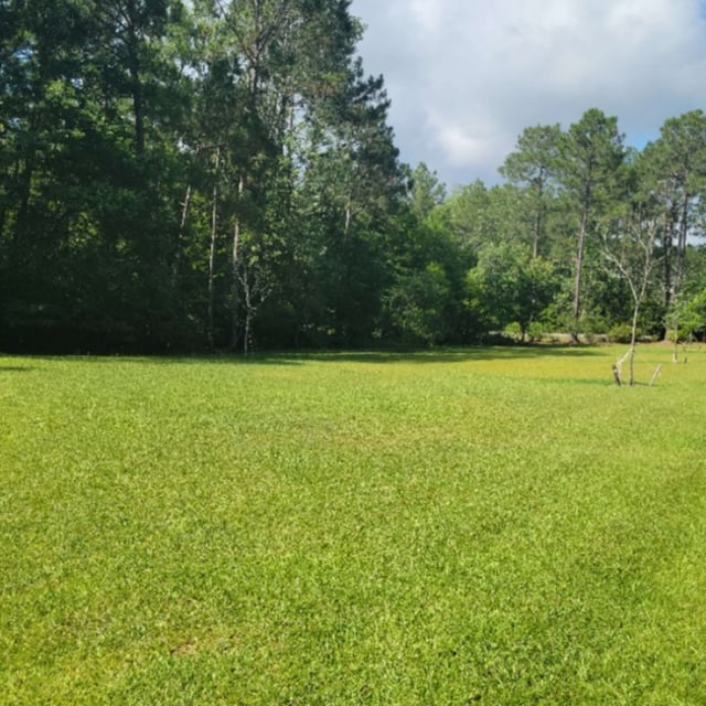 Freshly cut lawn