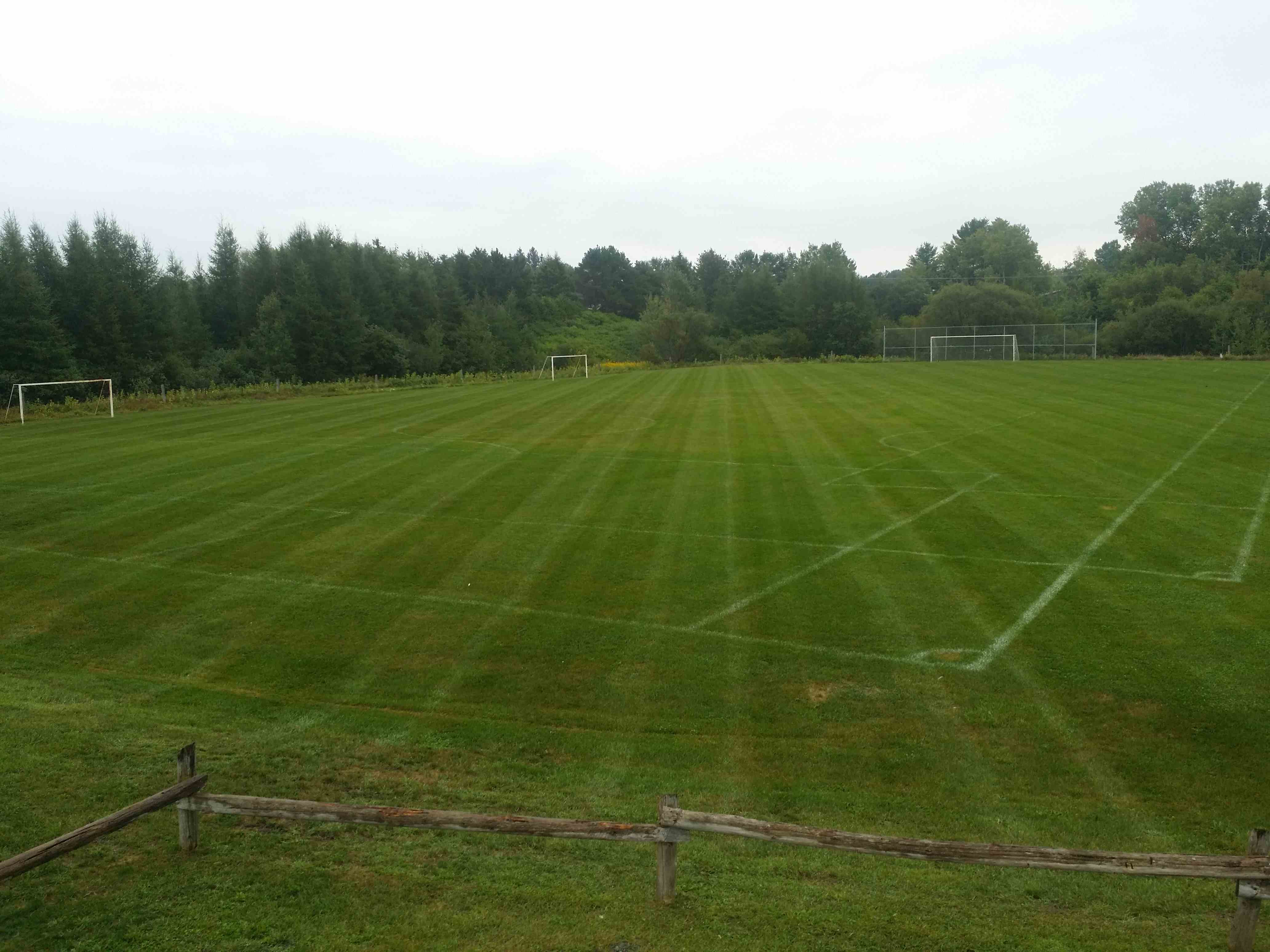 Freshly mowed soccer field