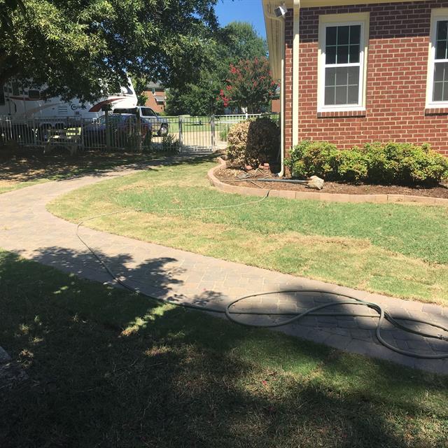 Garden in front of a patio.