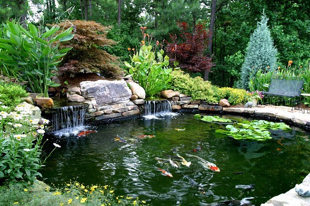 Garden with a fountain