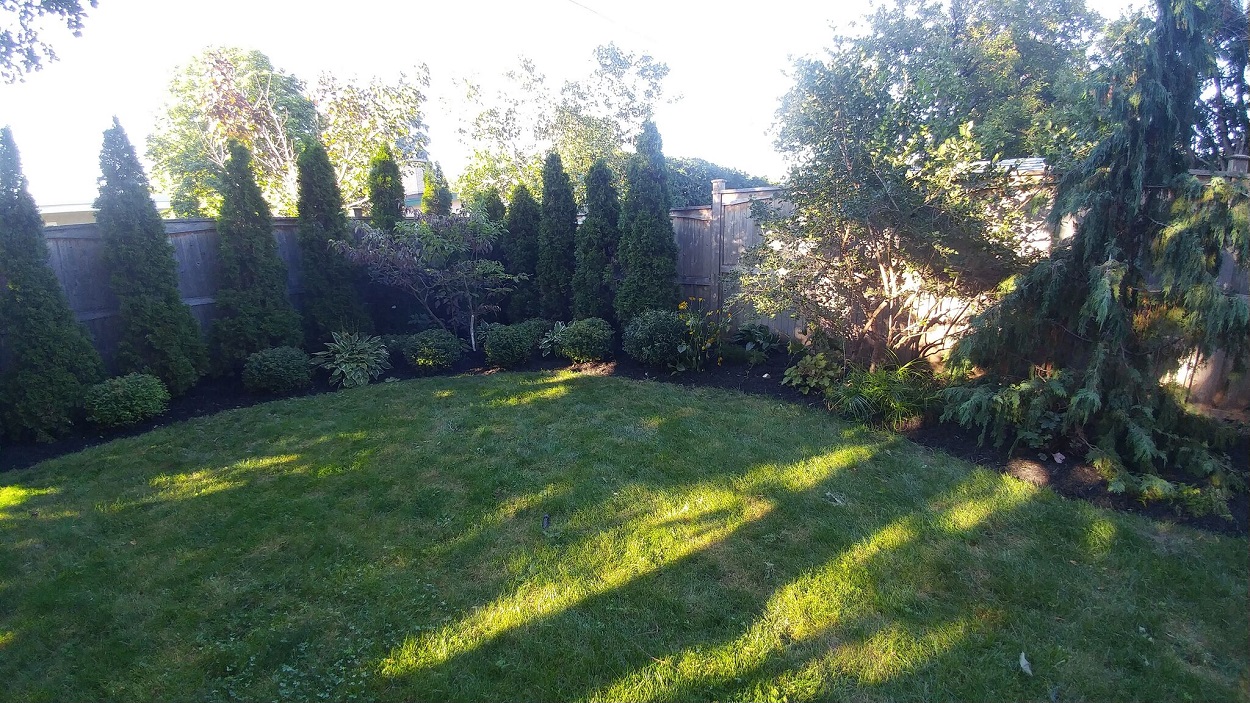 General Backyard