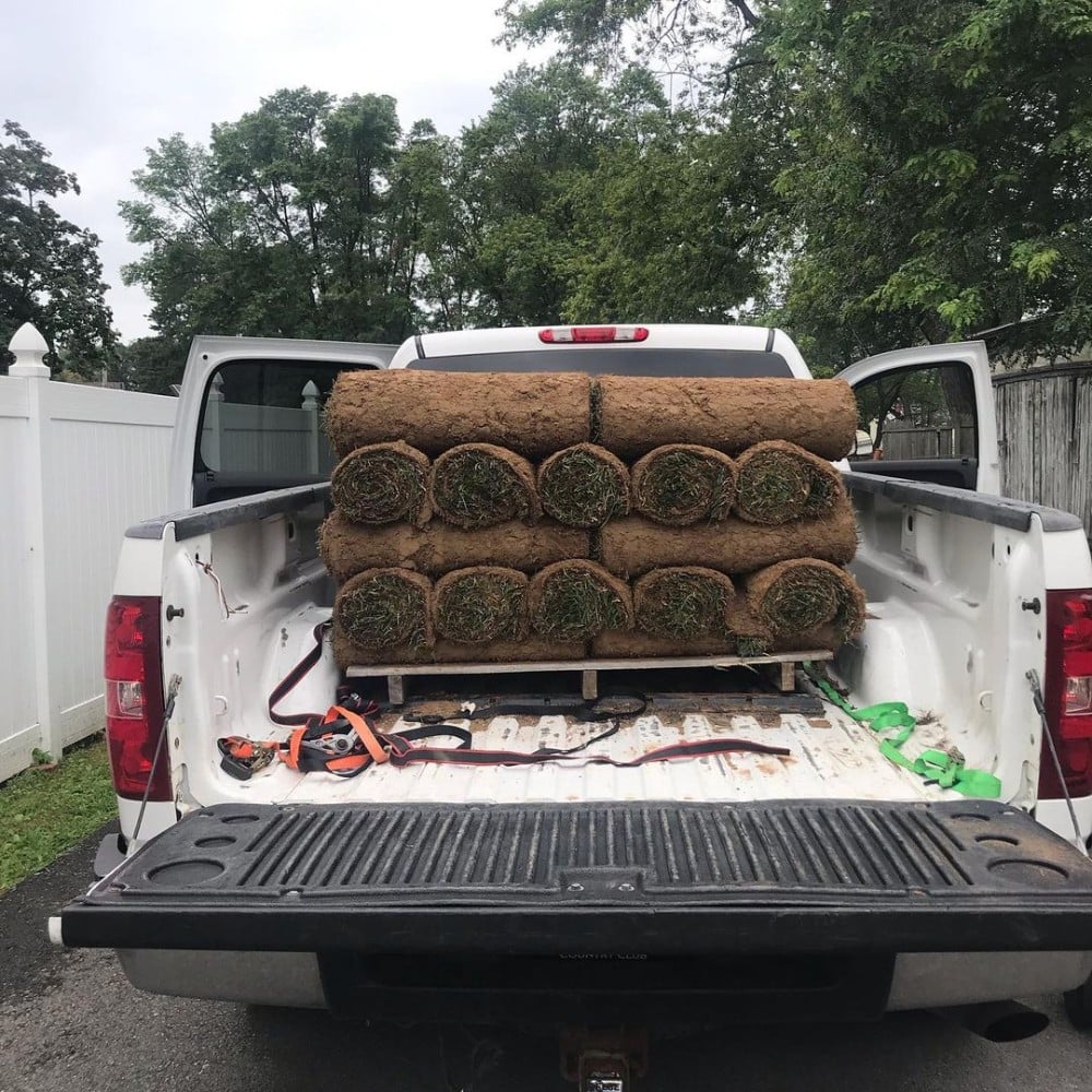 Grass beds for landscaping.