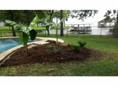 Grass and tropical plants beside pool with fountain.