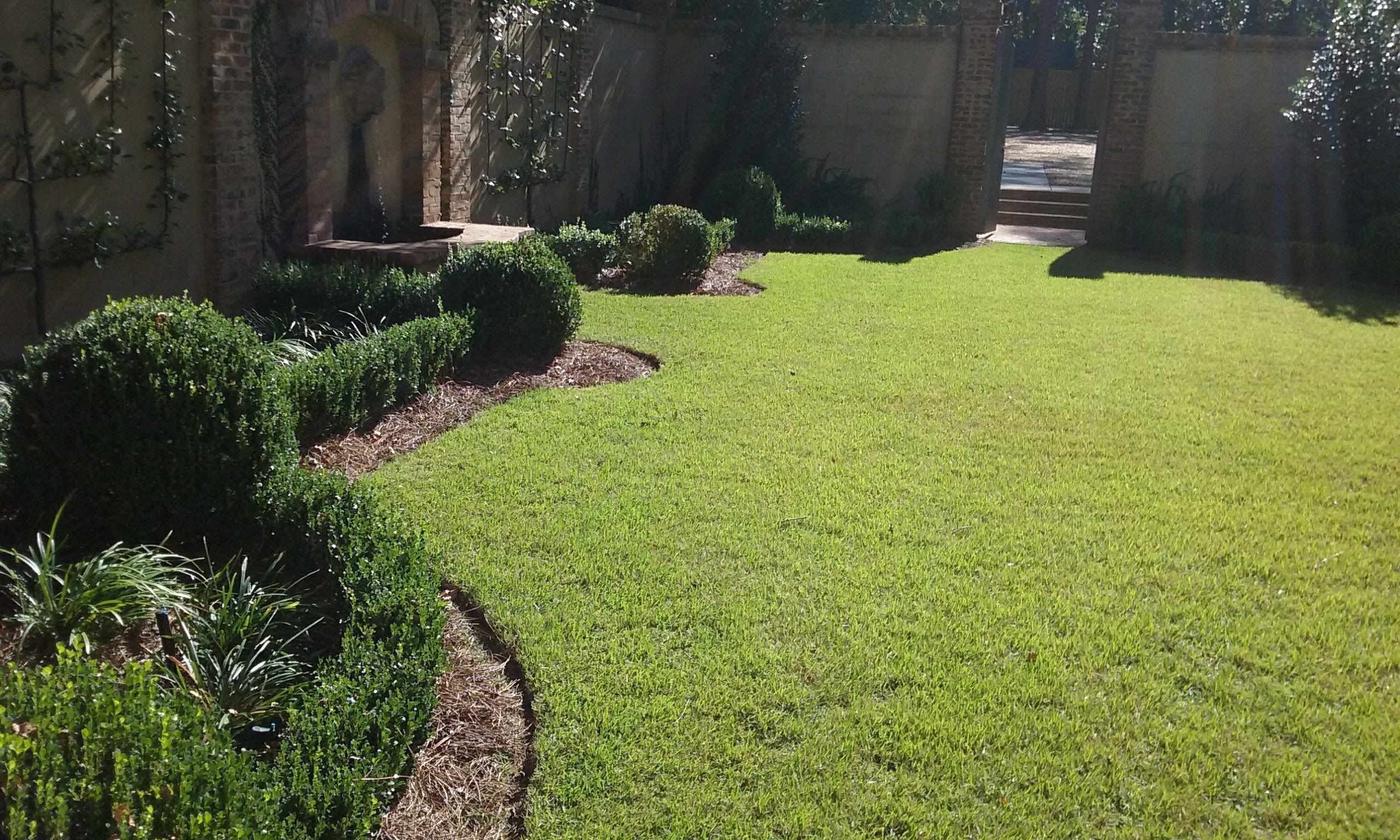 Hedges bordering well manicured lawn