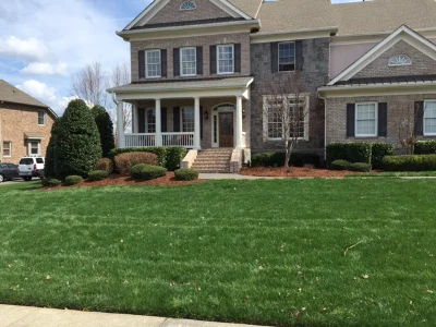 House with freshly cut grass lawn and shaped trees and bushes.