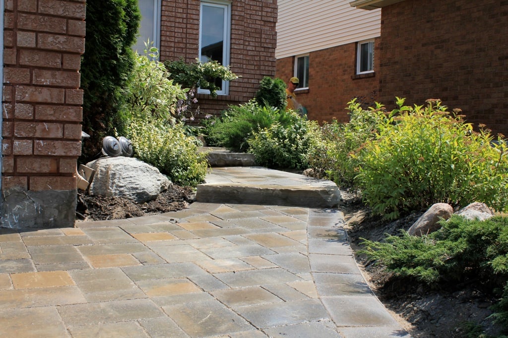 Landscaping along a walking path