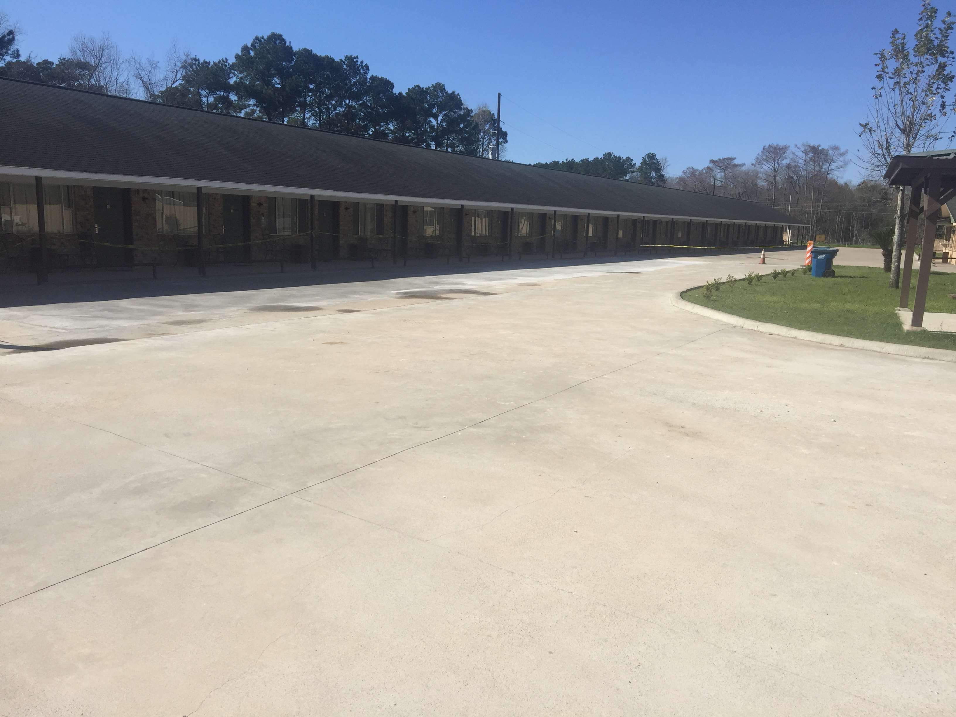 Large concrete plot with small tree to the right