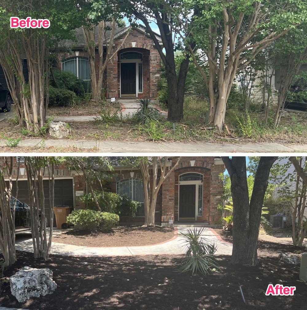 lawn care fall clean up leaves south austin manchaca buda, tx