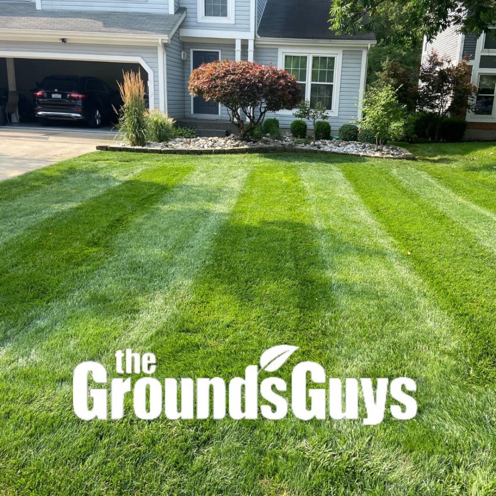 Lawn Care and Maintenance