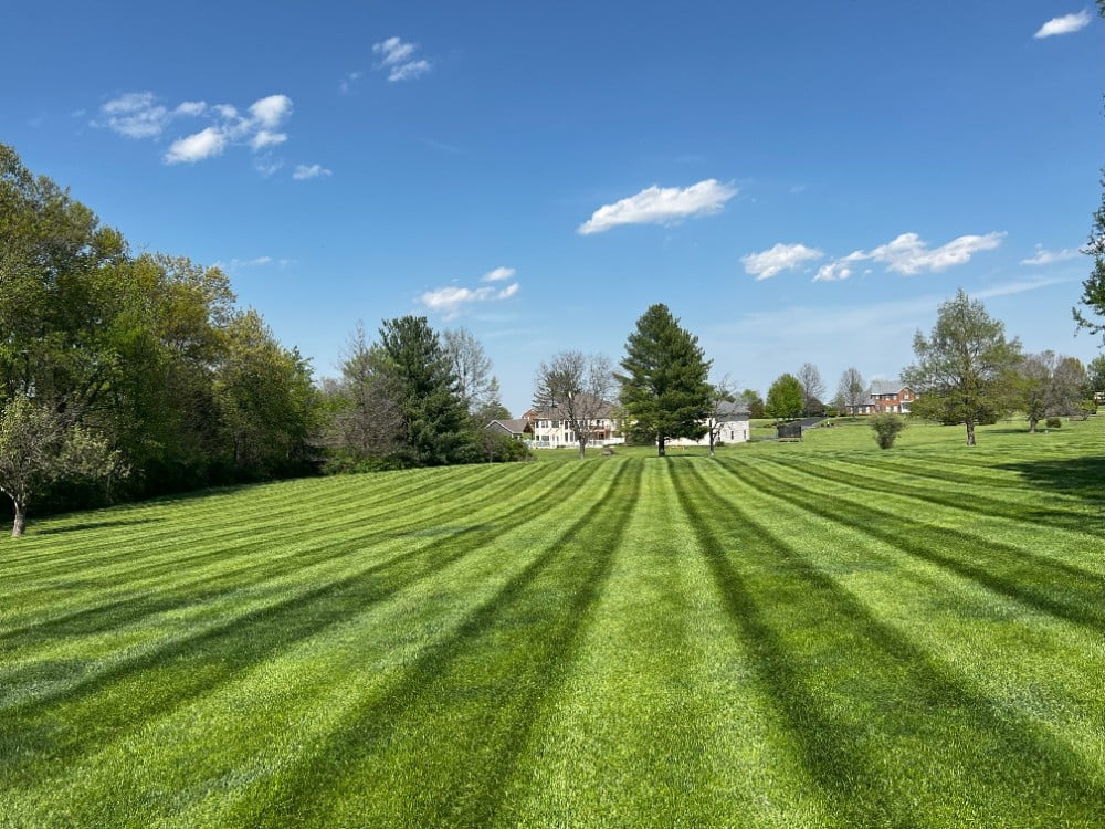 Lawn Mowing and Maintenance in St. Peters, MO