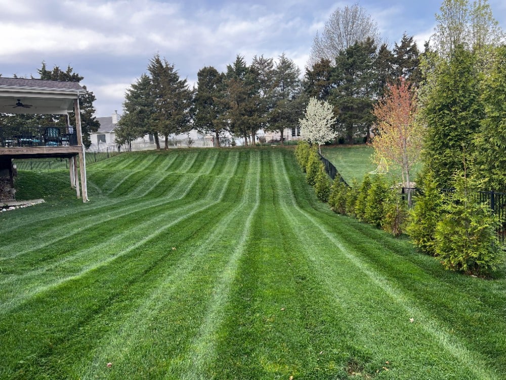 Lawn Mowing and Maintenance in St. Peters, MO