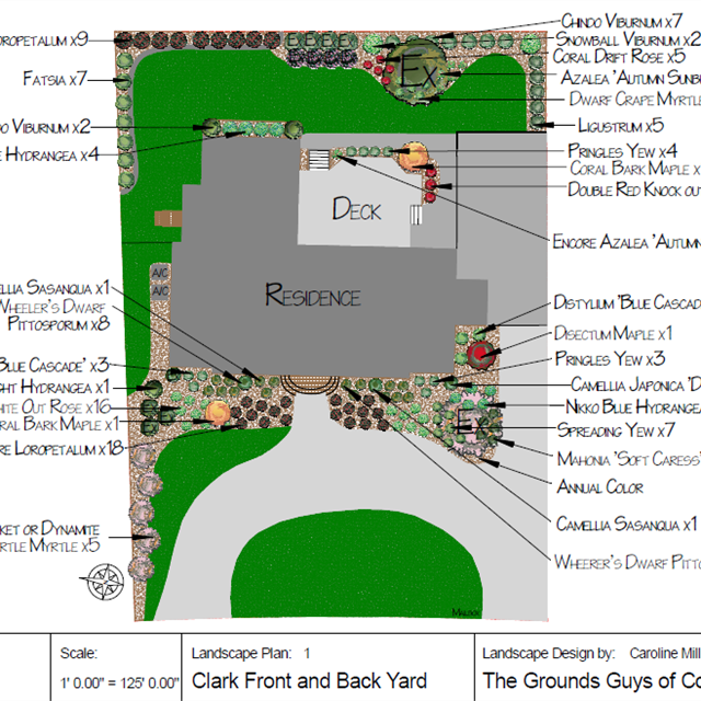 Lawn plan drawing