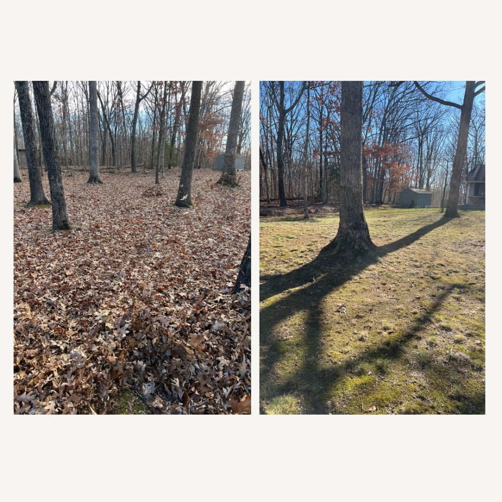 Leaf Clean Up and Removal in St. Peters, MO