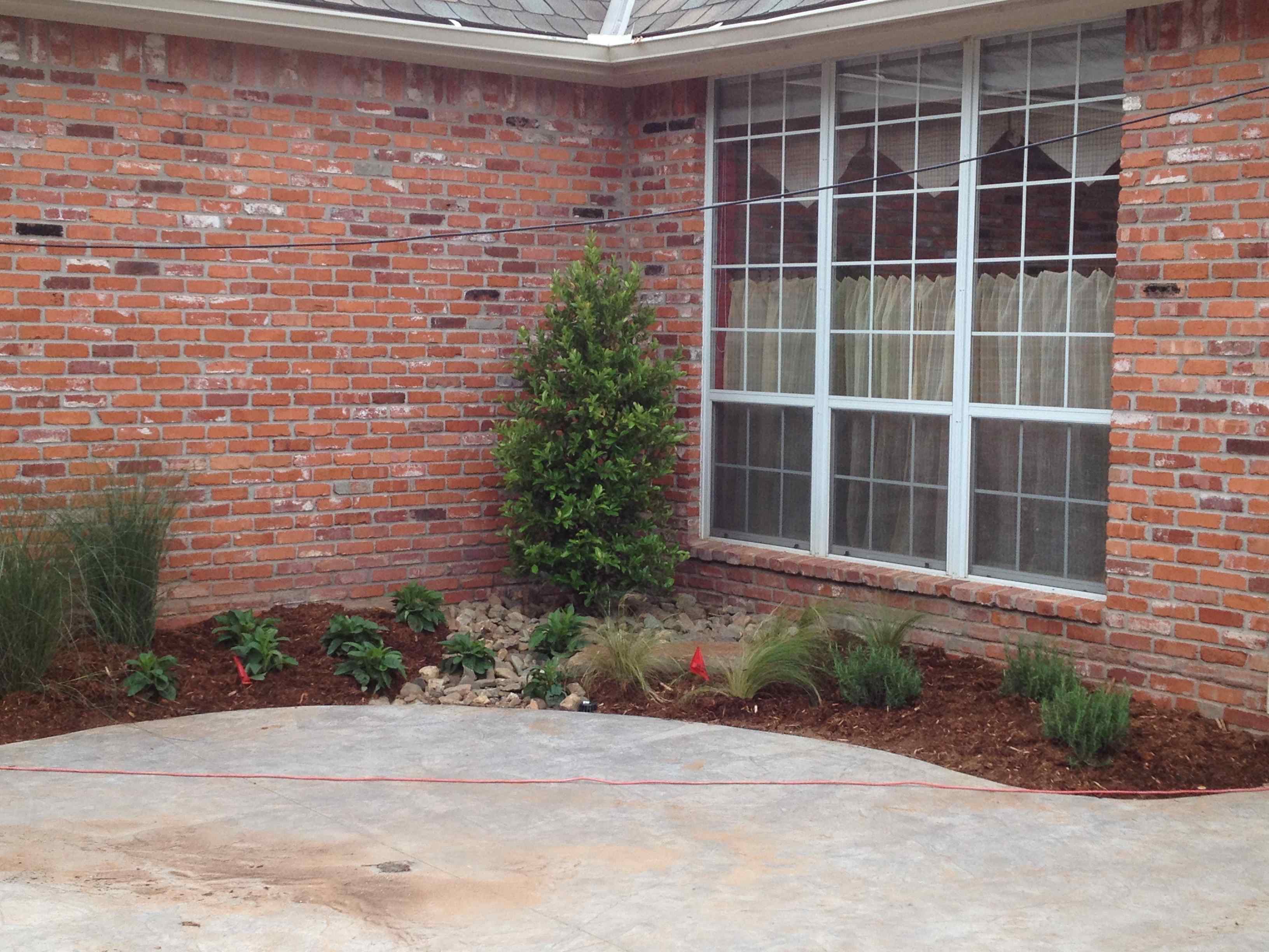 Mulch lining house with wispy bushes and a tree