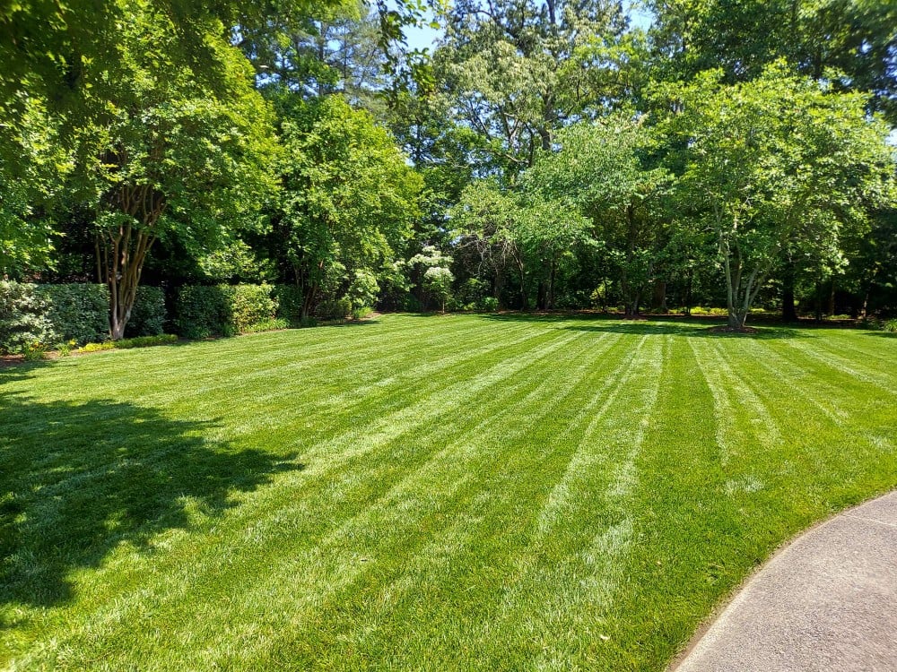 Driveway edging