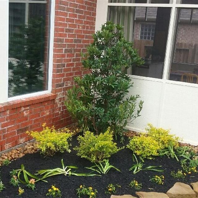 Outdoor Corner Gardening