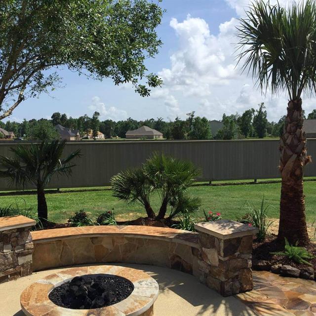 Palm trees and lawn landscape