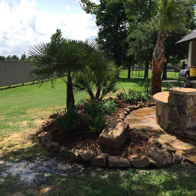 Palm trees and lawn landscape