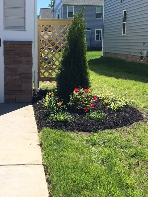 Planter and tree on side of driveway