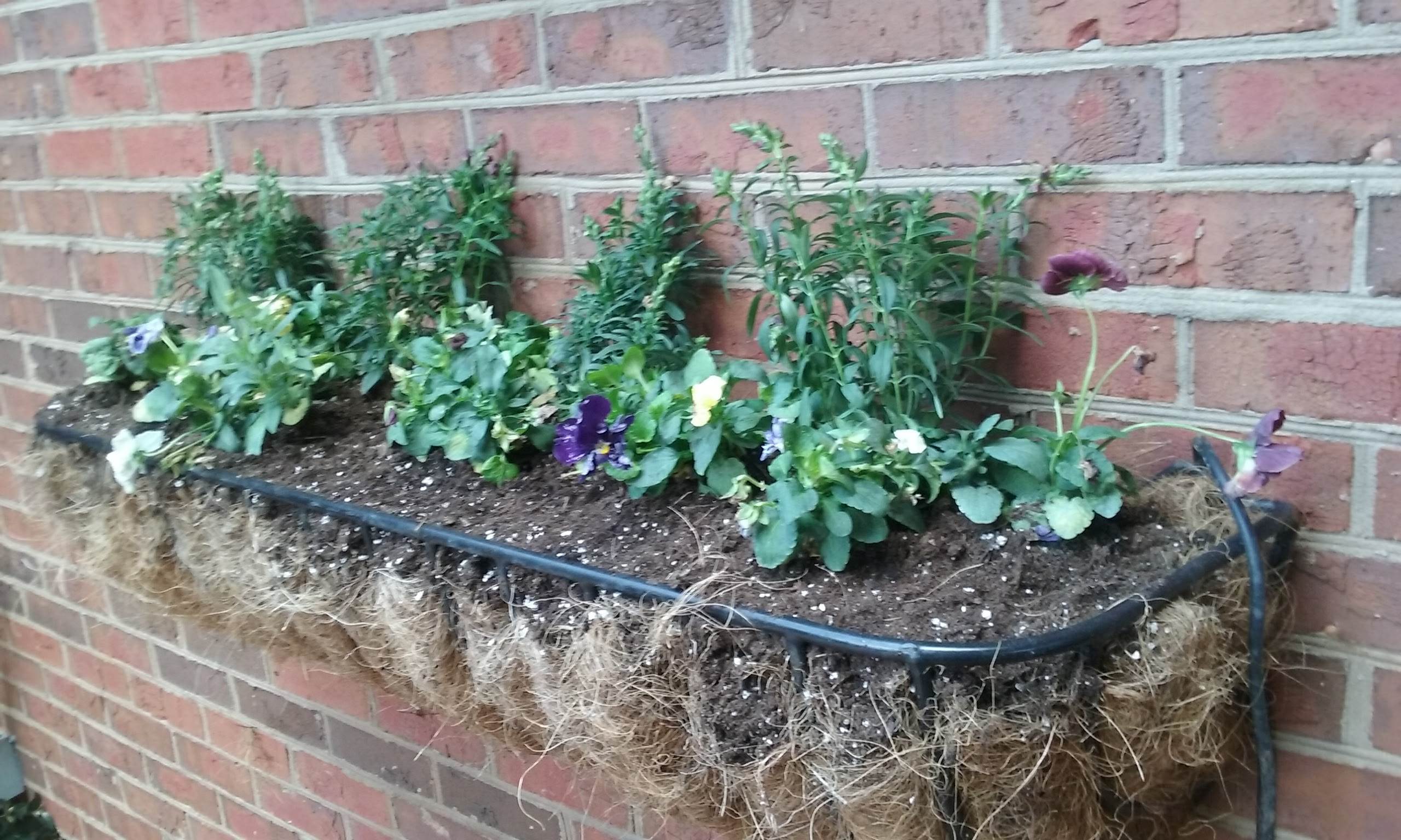 Planter mounted into brick wall