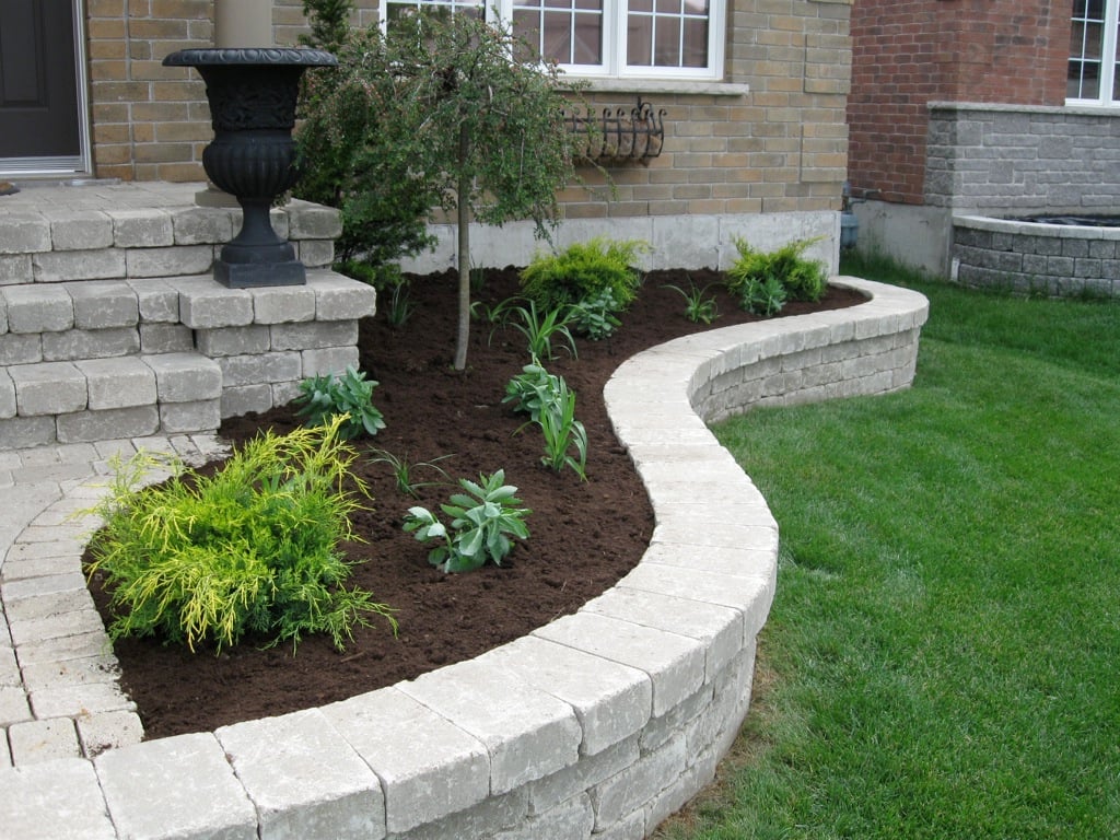 Plants in a raised garden