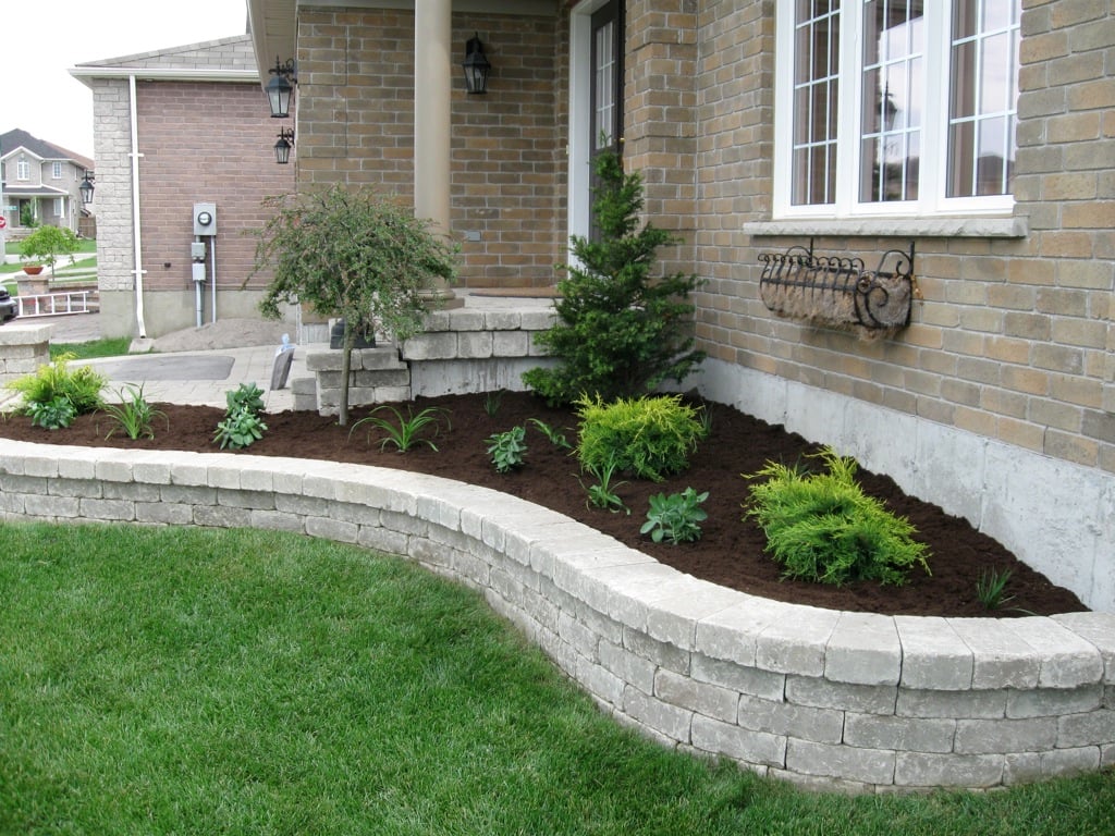 Plants in a raised planter bed