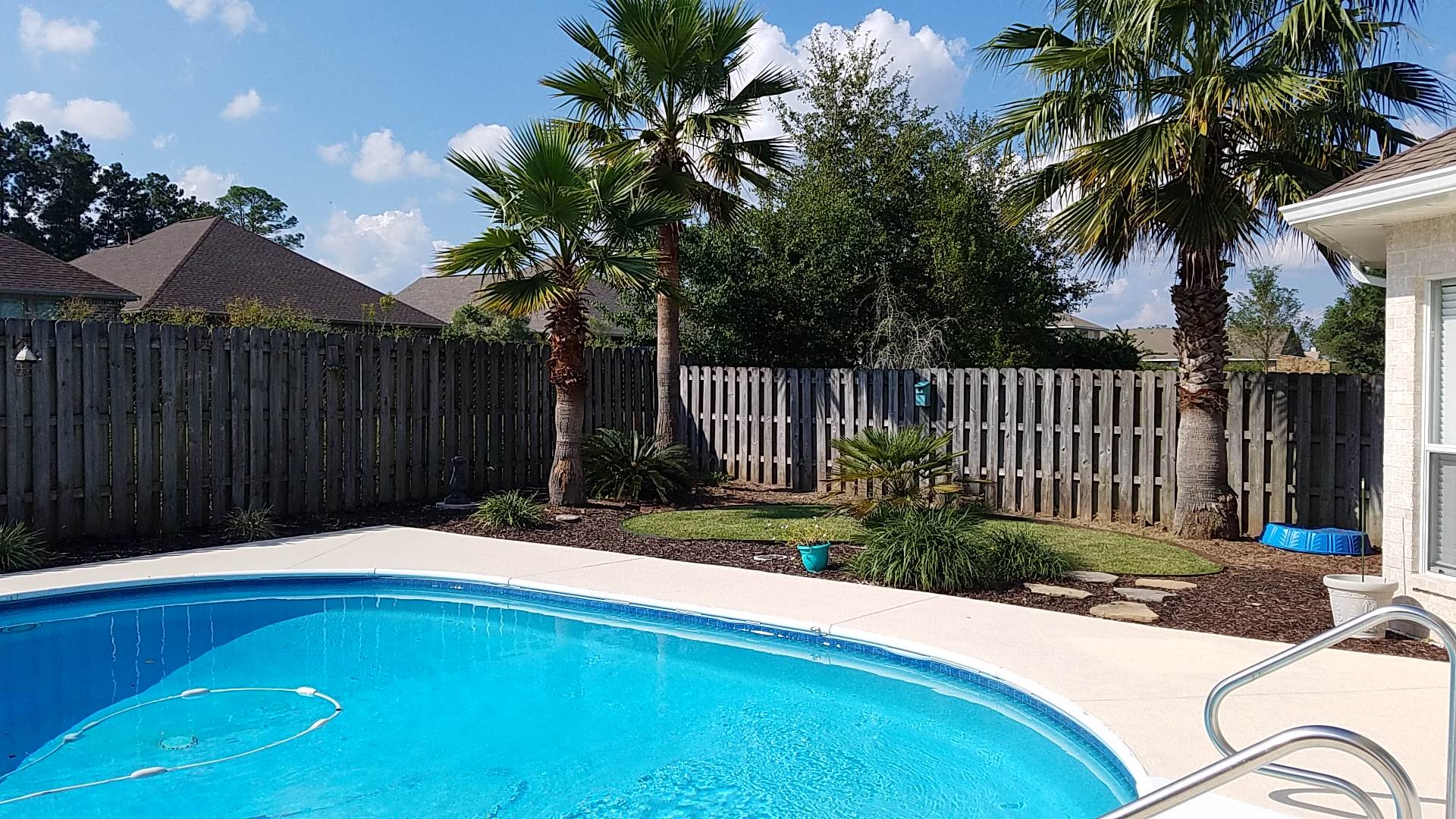 Pool and palm trees