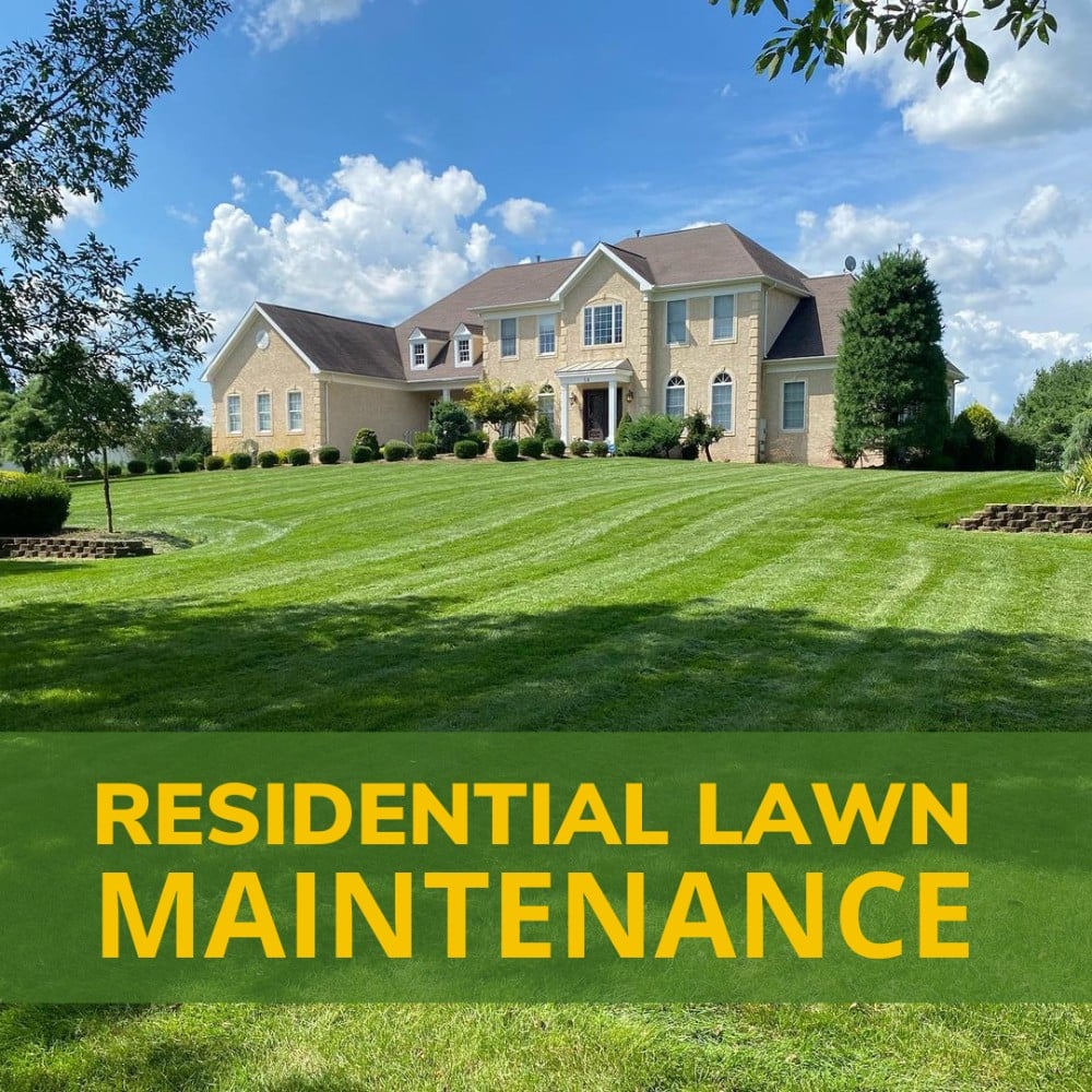 Lawn Maintenance