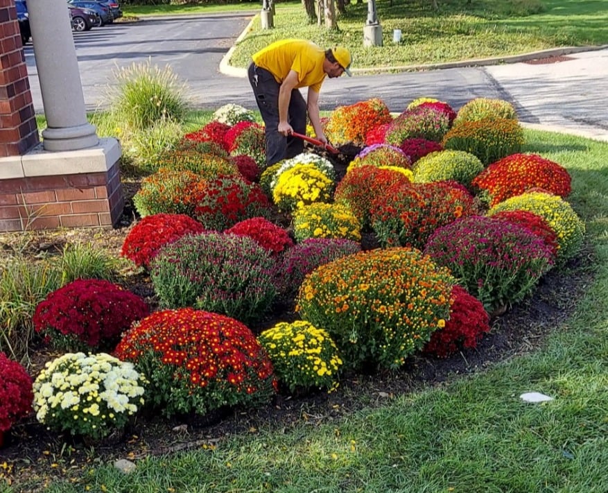 Seasonal flower installation in Bethel Park