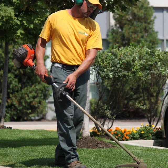 Shaping the lawn