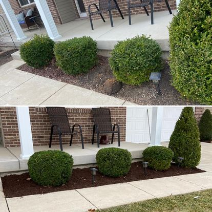 Shrub Trimming and Mulch in St. Peters, MO