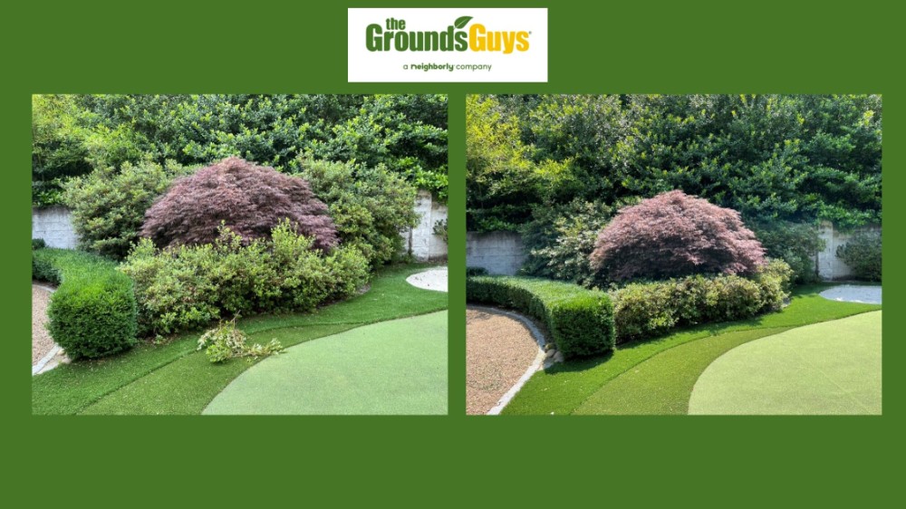 https://www.groundsguys.com/photos/photo-gallery-Shrub-trimming-and-cleanup-21582.jpeg