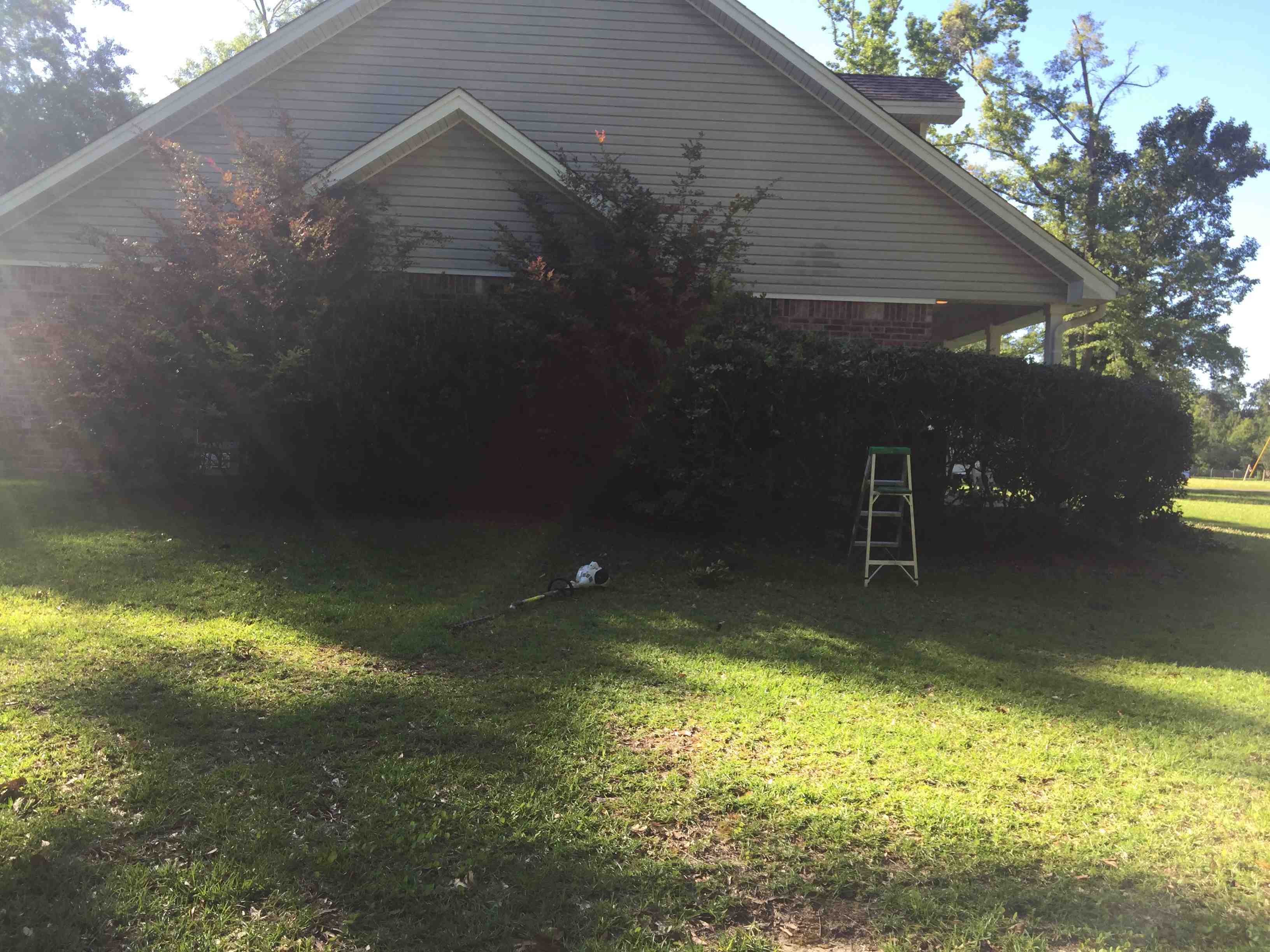 Side view of grey home with tree and yard