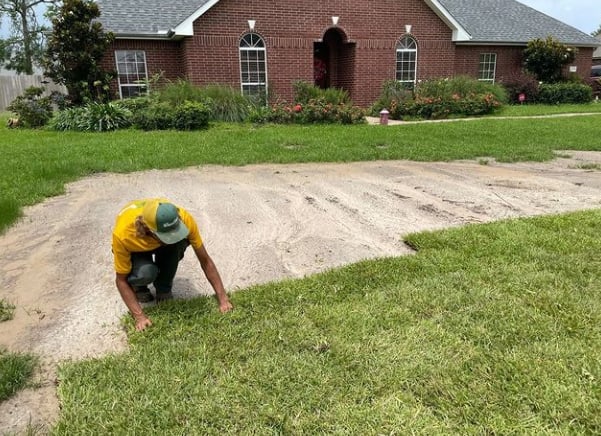 Sod Installation