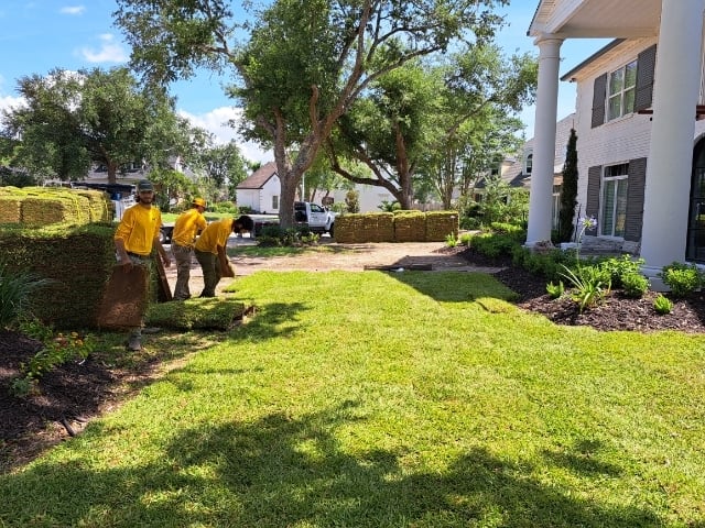 Sod Installation